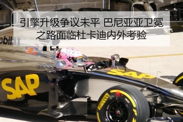 yin-qing-sheng-ji-zheng-yi-wei-ping-ba-ni-ya-ya-wei-mian-zhi-lu-mian-lin-du-ka-di-nei-wai-kao-yan-3-505.jpg