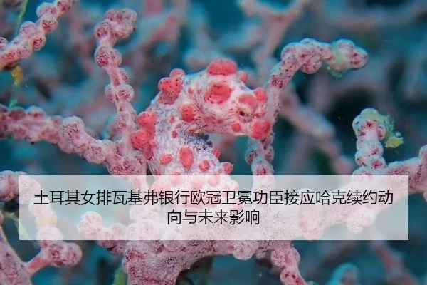 tu-er-qi-nv-pai-wa-ji-fu-yin-hang-ou-guan-wei-mian-gong-chen-jie-ying-ha-ke-xu-yue-dong-xiang-yu-wei-lai-ying-xiang-3-439.jpg